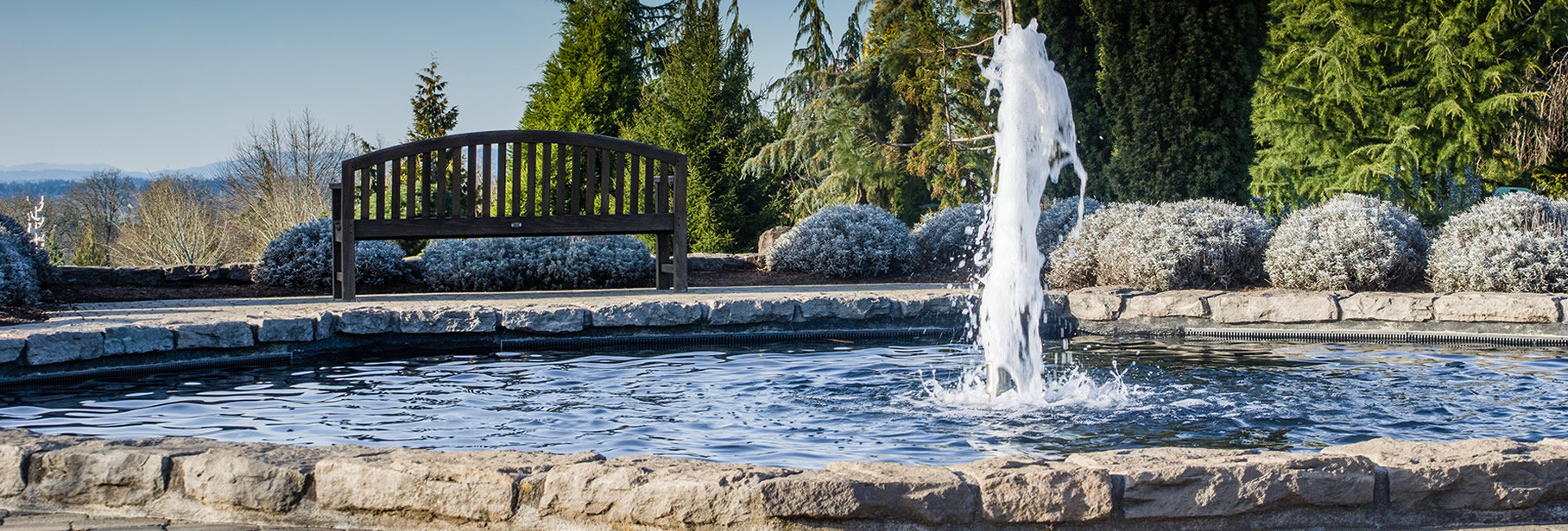 Atlanta Landscape, Hardscape, Suwanee Yard Drainage, Tree Removal