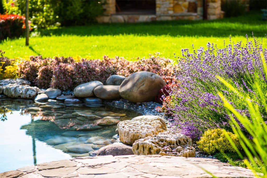 beautiful lawn and garden maintenance