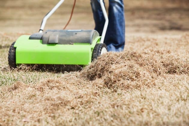 Dethatching Details