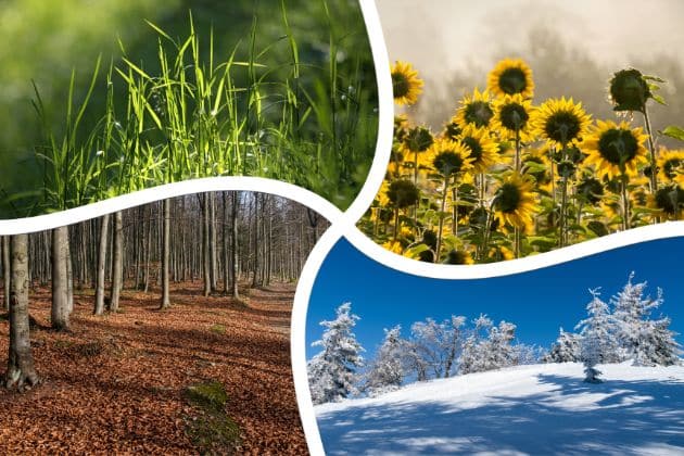 Seasonal Landscaping Ultimate Guide