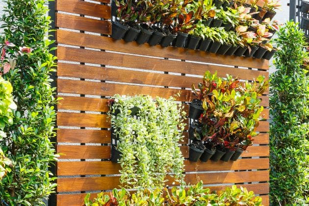 Vertical Gardens