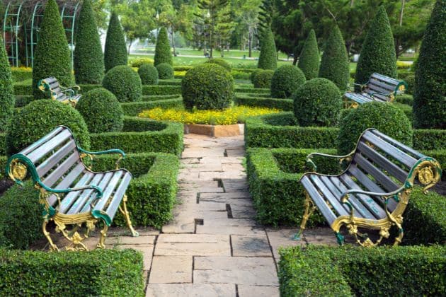 Popular Landscape Design Elements in Cumming