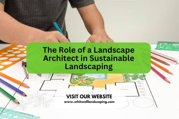 The Role of a Landscape Architect in Sustainable Landscaping
