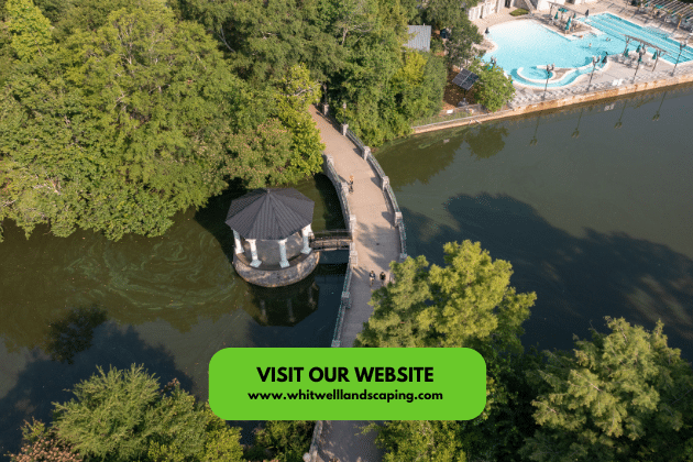 Understanding Local Climate and Ecosystem