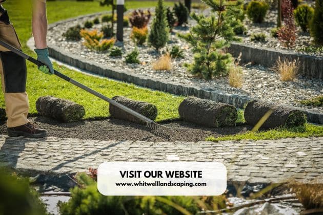 The Benefits of Investing in Expert Landscape Design & Installation