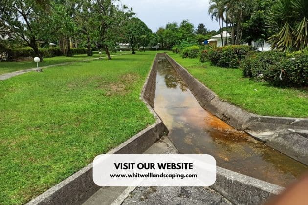Why Drainage Water Management Matters