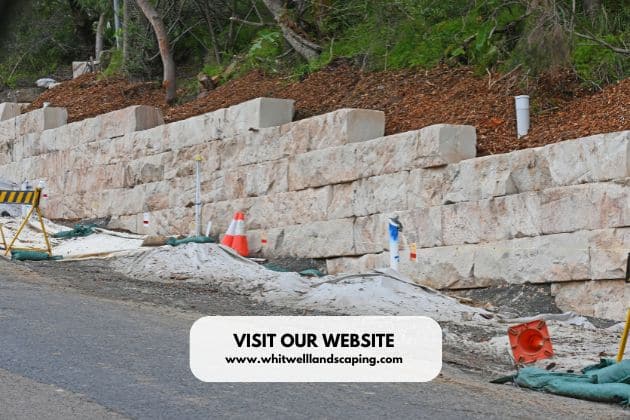 From Drainage Solutions to Retaining Walls: Landscape Architects Solve Site Challenges