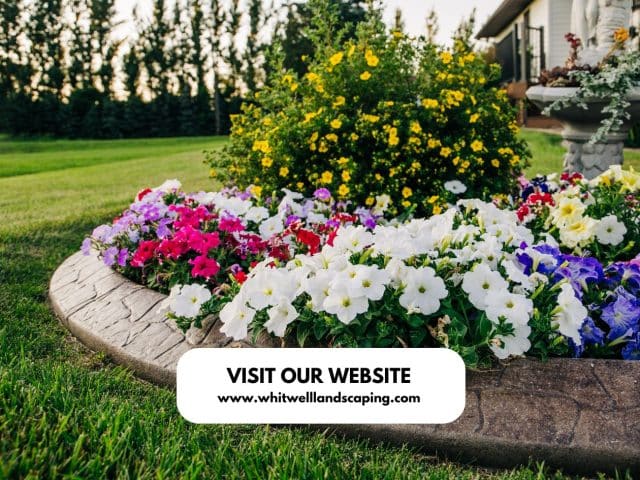 Boost Your Business with Curb Appeal: How Landscaping Attracts More Customers