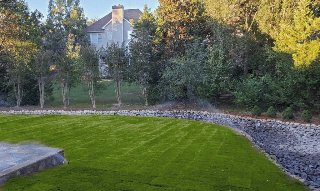 Custom Steps & Landscape Lighting