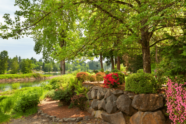 Eco-Friendly Landscaping Solutions for Atlanta Properties