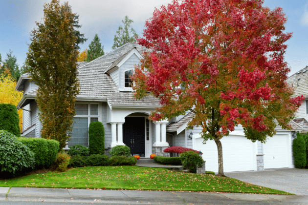 Seasonal Landscaping Checklist for Atlanta, Georgia